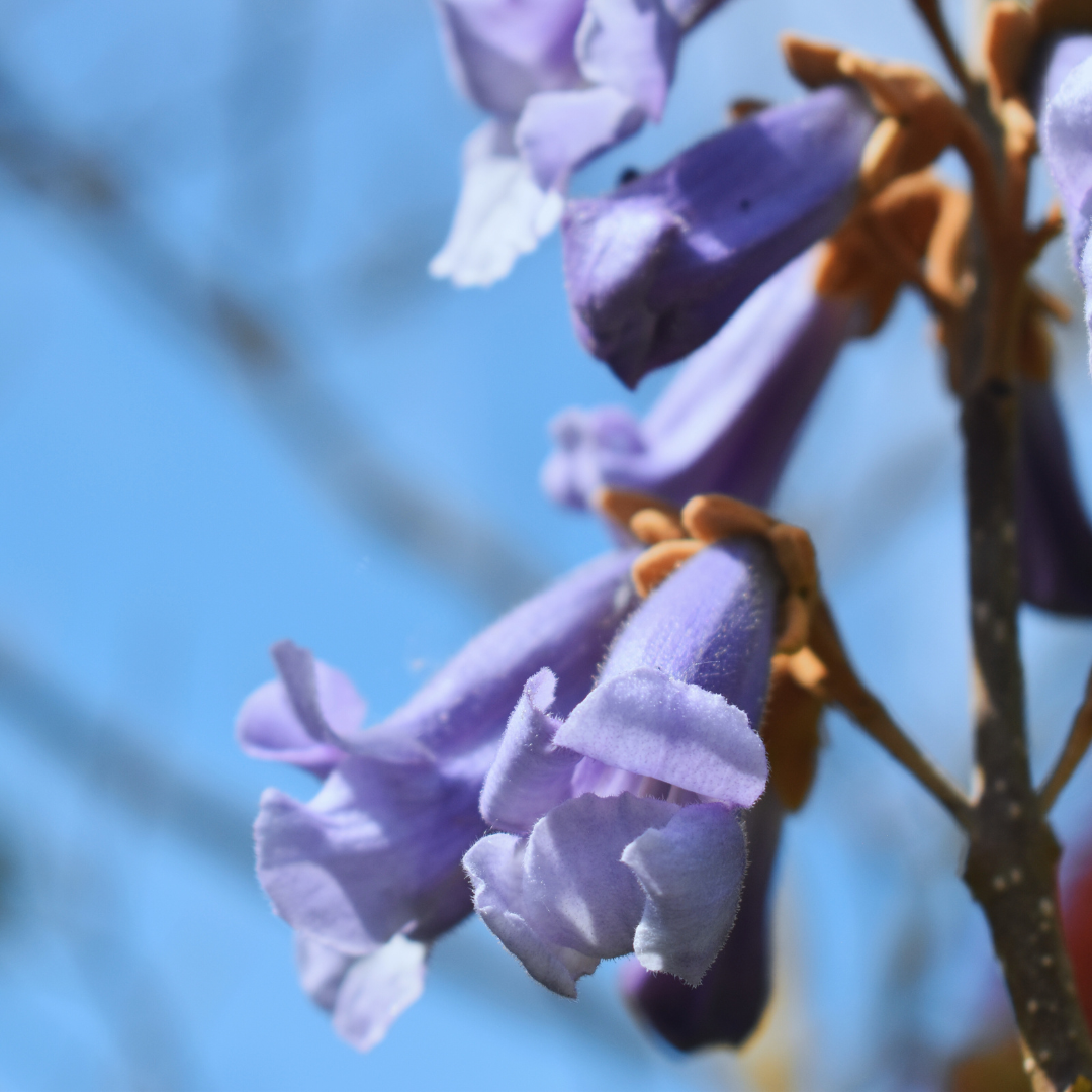 Capture natural moments with professional photography and videography in Norwich, Norfolk. Specialising in wellness, events, portraits, and more.