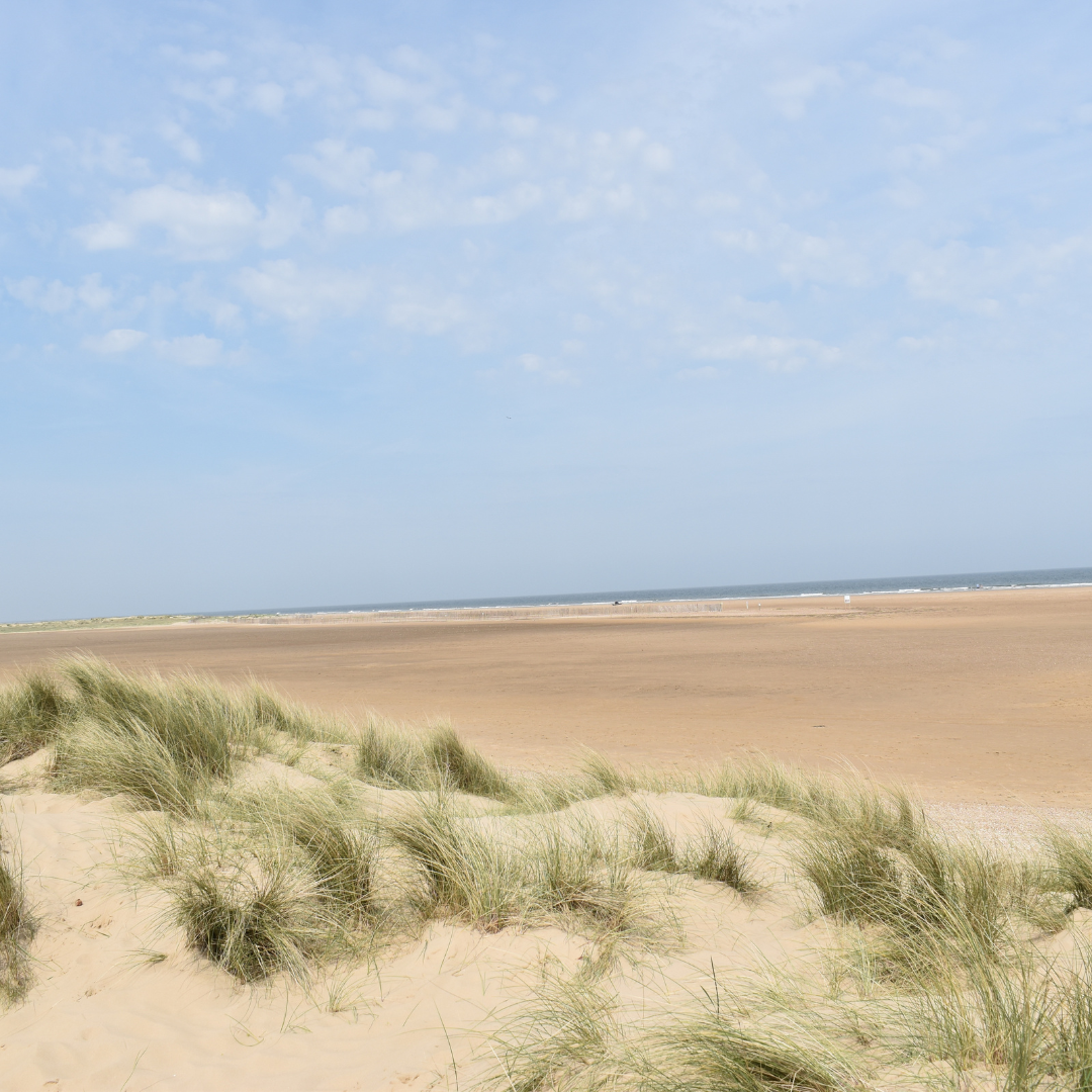 Capture natural moments with professional photography and videography in Norwich, Norfolk. Specialising in wellness, events, portraits, and more.