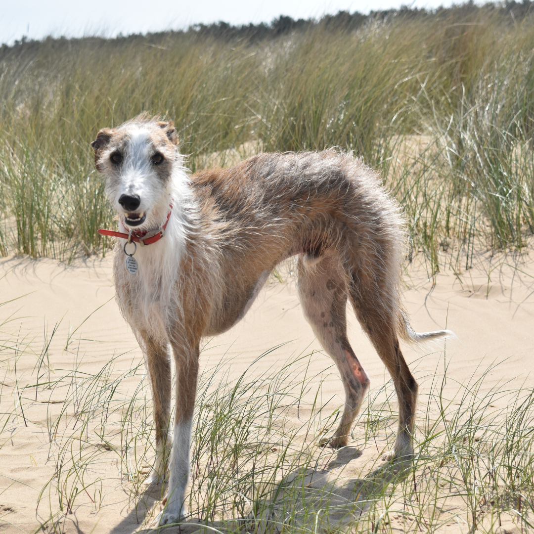 Capture natural moments with professional photography and videography in Norwich, Norfolk. Specialising in wellness, events, portraits, and more.