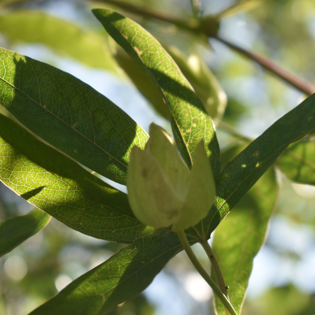 Capture natural moments with professional photography and videography in Norwich, Norfolk. Specialising in wellness, events, portraits, and more.