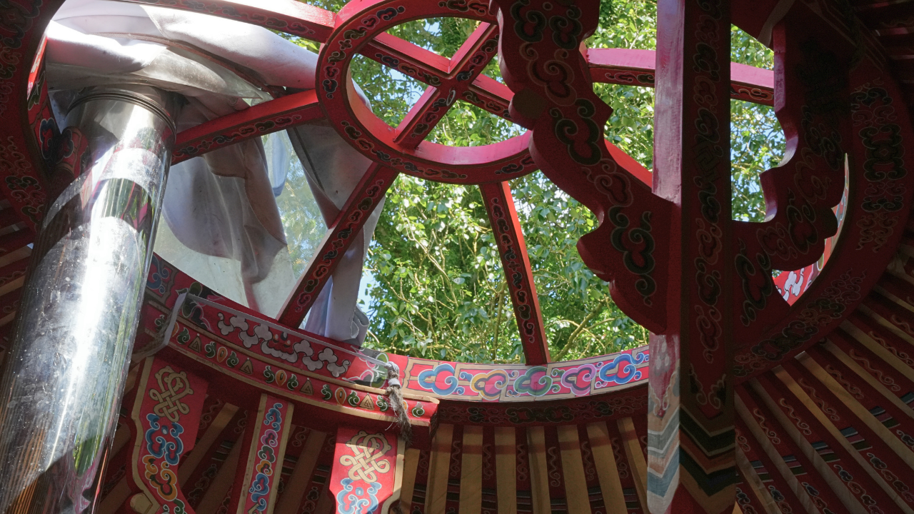 eco therapy farm photography