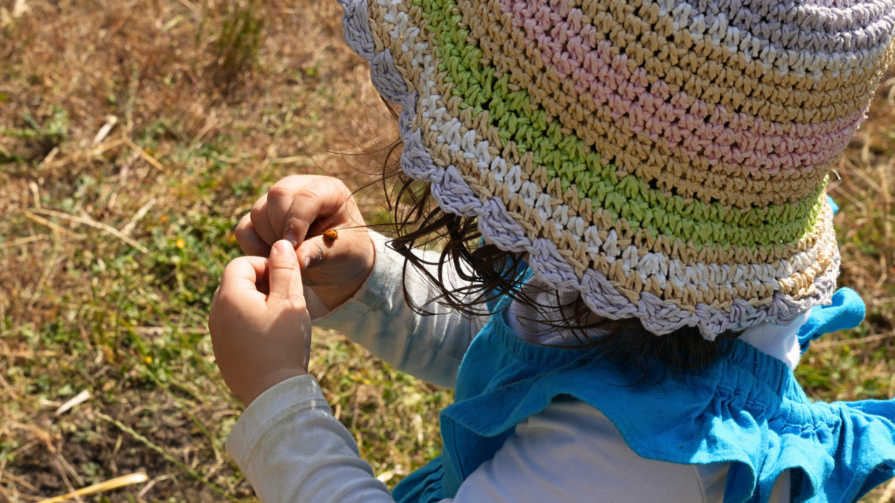 eco therapy farm photography
